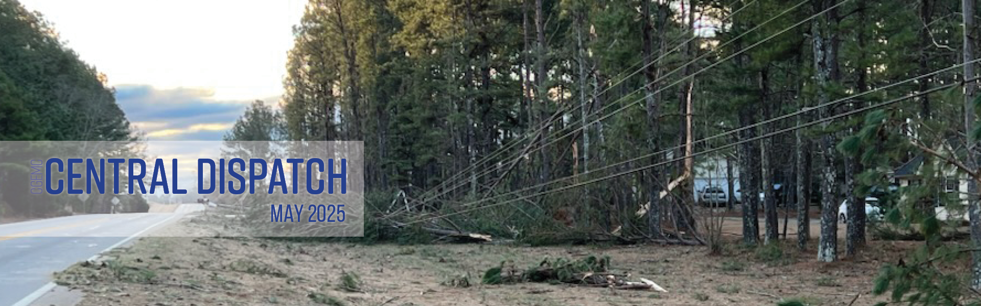 downed powerlines